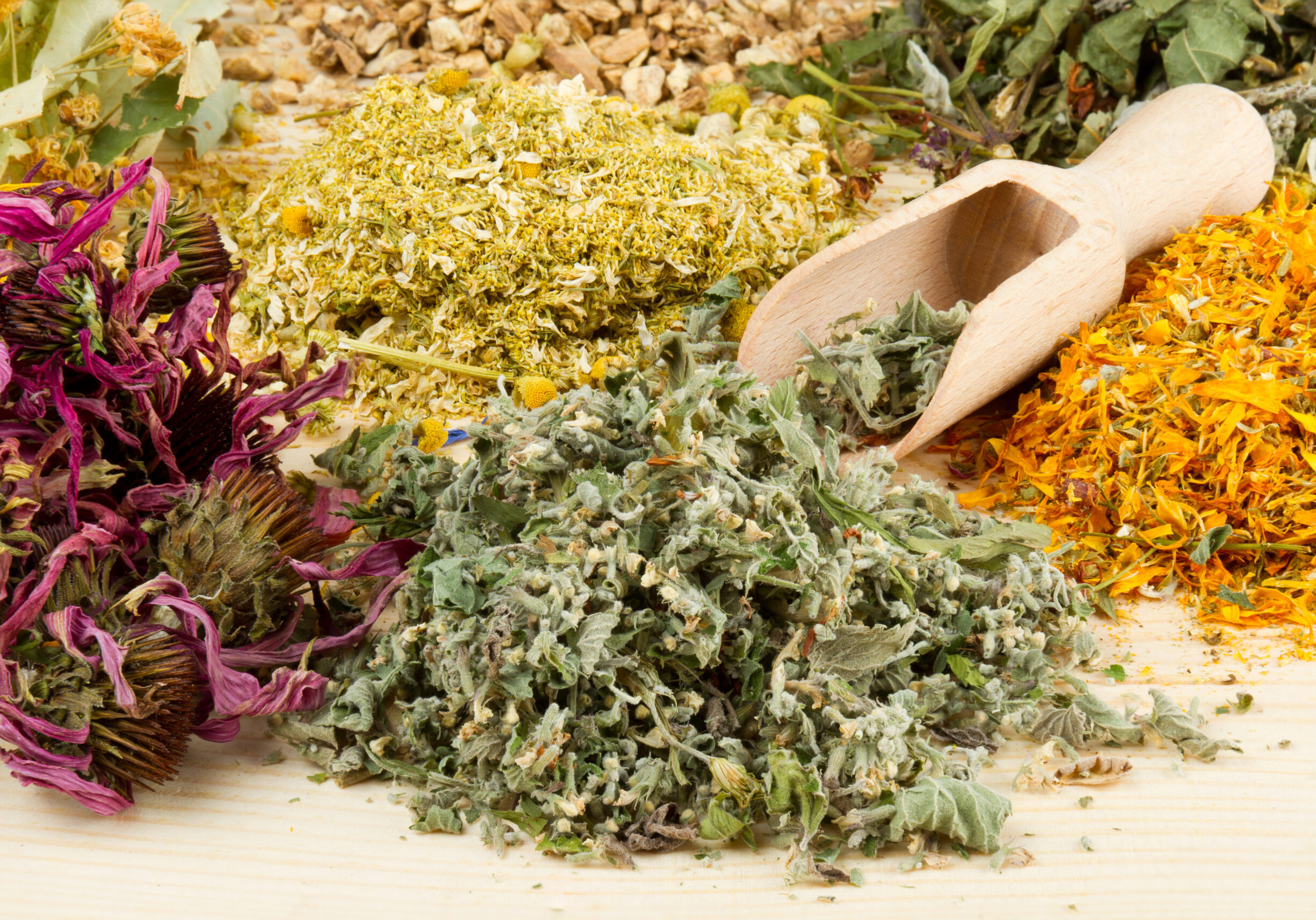 healing herbs with scoop on wooden table, herbal medicine